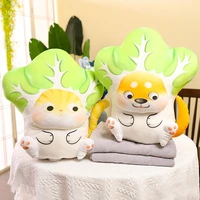 48cm plush toys kawaii vegetable dog japanese creative chinese cabbage shiba inu pillow stuffed animal sofa cushion gifts