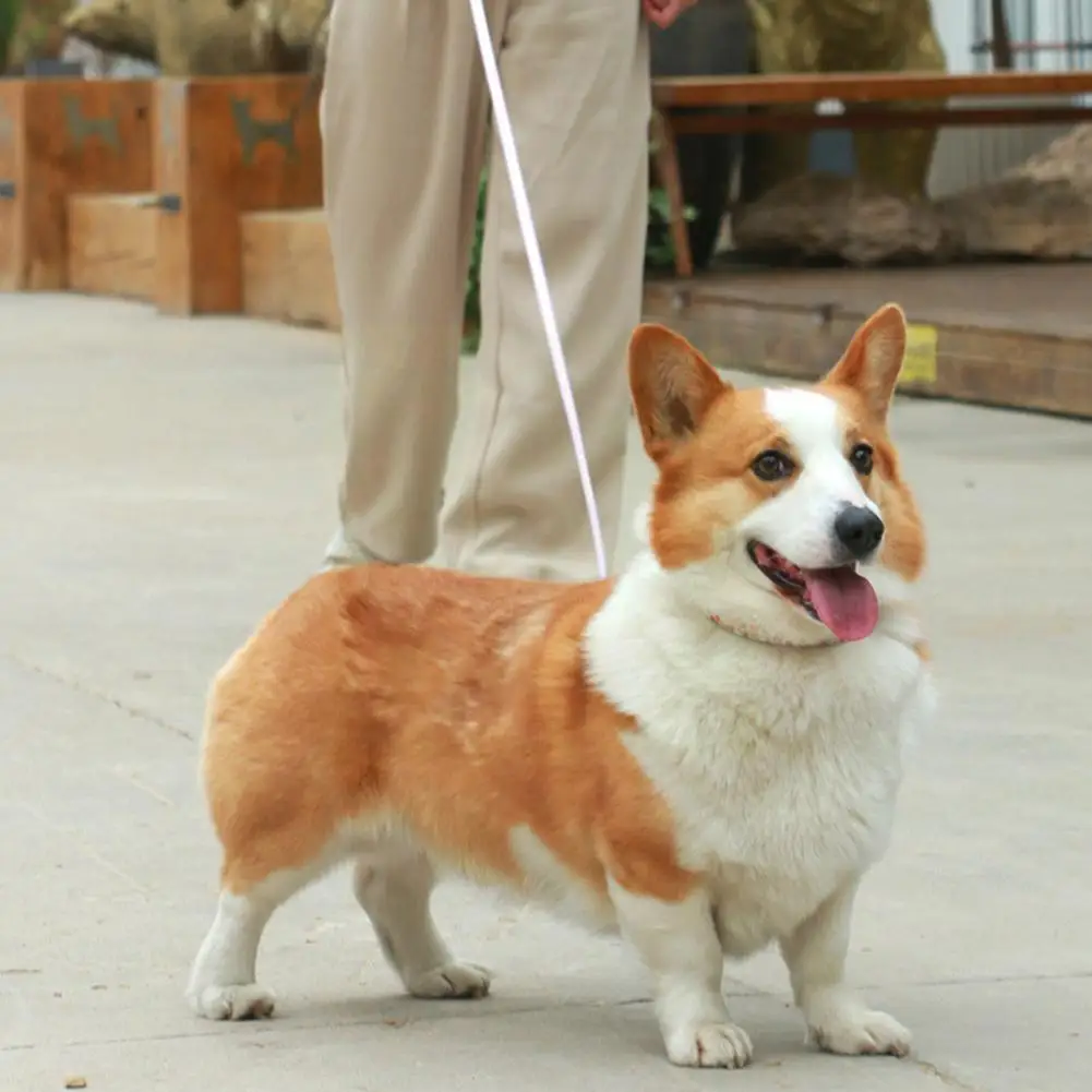 

Retractable Dog Leash With Mutil-mode Light Dog Leashes For Dog With Anti-slip Handle Dog Leash With One-handed Brake Pause Q3i1