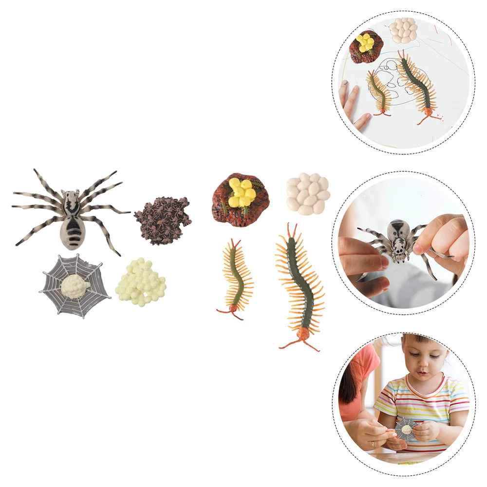 

2 Sets Tarantula and Centipede Growth Cycle Models Kids Cognitive Model Toys