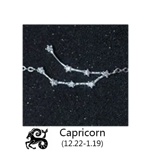 Capricorn Trustdavis Настоящее 925 пробы Серебряный Кристалл Телец Козерога Скорпион 12 Созвездие браслет для женщин Свадебные украшения - Окраска металла: Capricorn