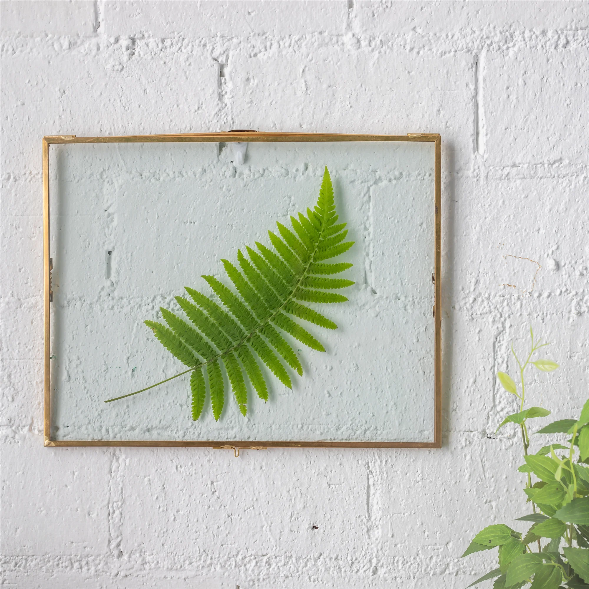 28x36cm Retro Glass Picture Frame Display Poster Plants Specimen Clip Home Office Wall Decoration Card Photo Frames Rectangle