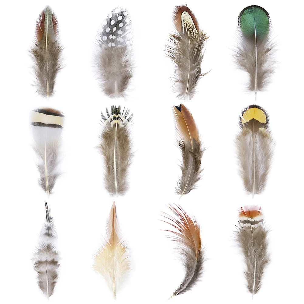

50 Pcs/Lot Natural Rooster Pheasant Feather 5-12 CM for Party Wedding Clothes Decoration Diy Jewelry Accessory Crafts Plumes