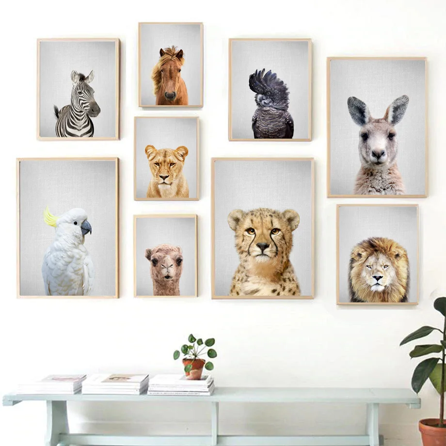 Настенная картина с попугаями кроликами альпакой львом зеброй леопардом Картина