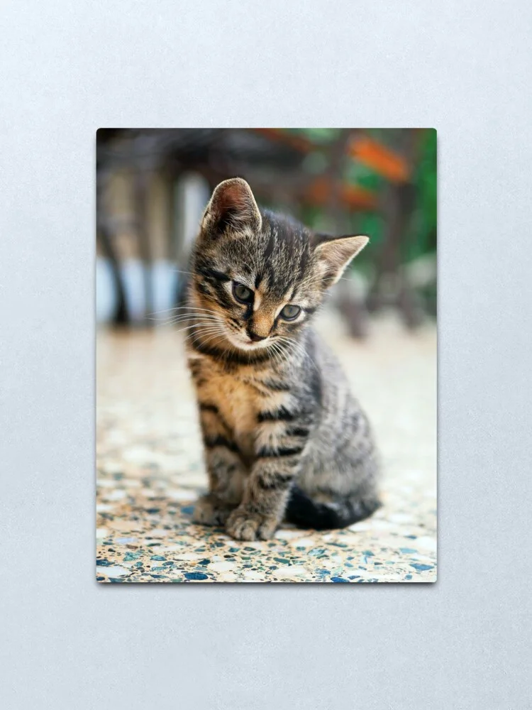 

cool cat Metal Print Tin Sign Vintage Metal Wall Sign Plaque Retro Garage Shed Car