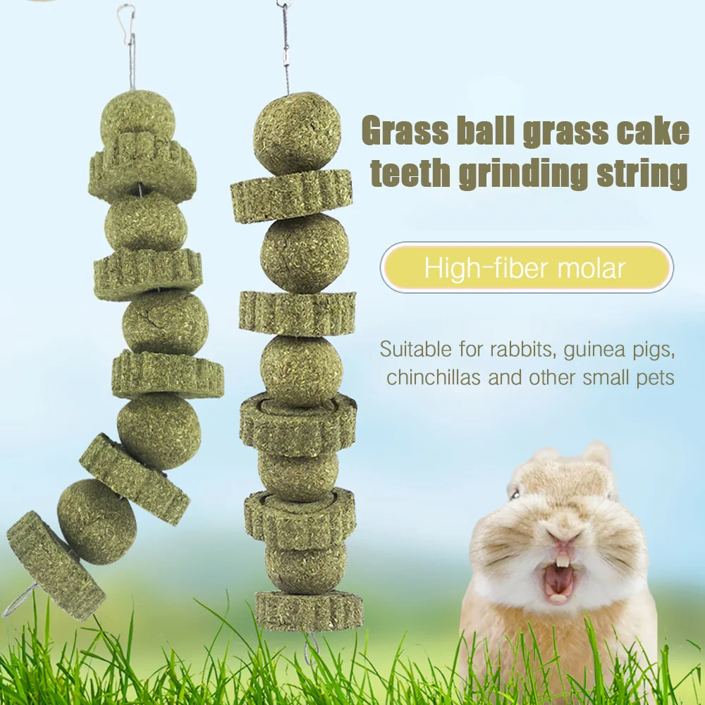 Грызунки морской свиньи зубные жевательные игрушки маленькие питомцы кролик