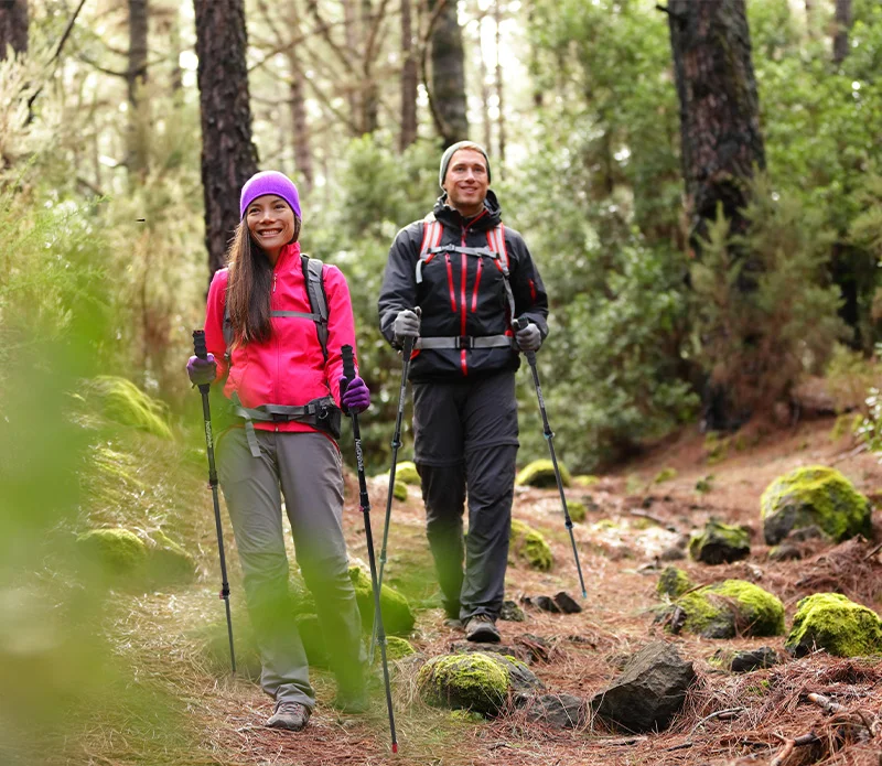 2 шт./упак. Naturehike Nordic трости Пеший Туризм трекинговые палки Сверхлегкий дороги углерода телескопическая трость восхождение Пеший Туризм аксессуары