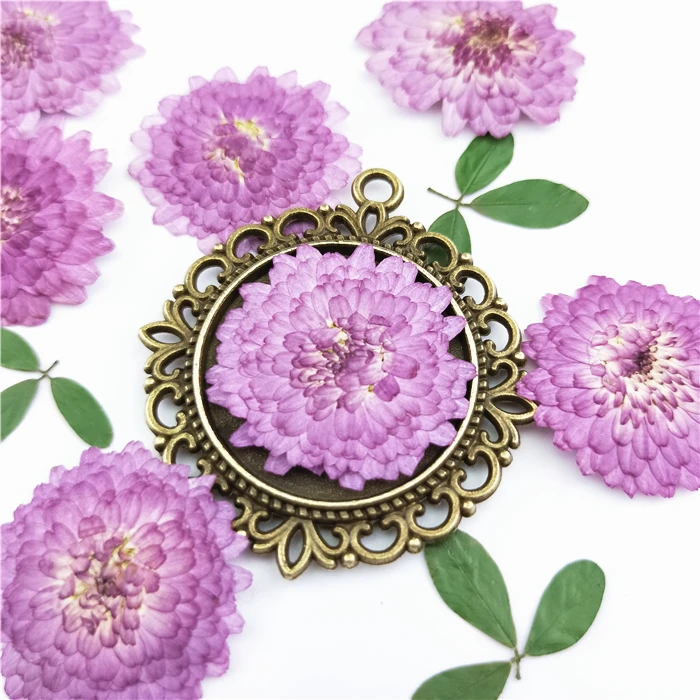 Натуральные прессованные цветы 24 шт. настоящие сушеные хризантемы для