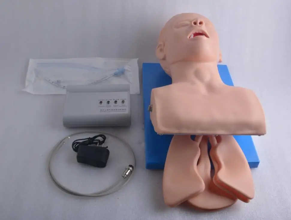 

Intubation Manikin Study Teaching Model Airway Management Trainer PVC With Teeth