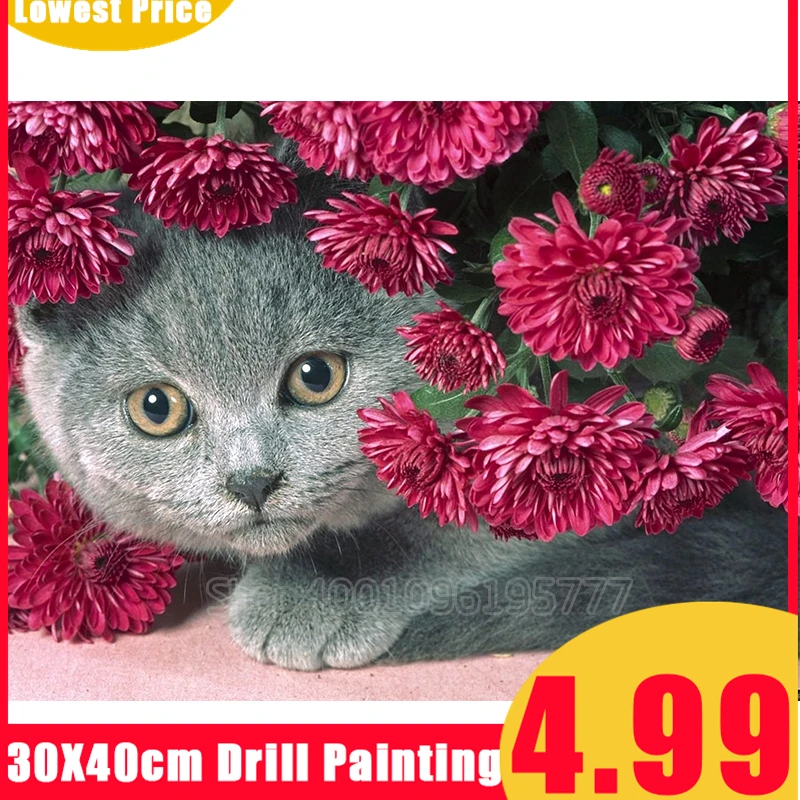 5D DIY Алмазная картина полностью квадратная/круглая дрель цветок и Кот Вышивка