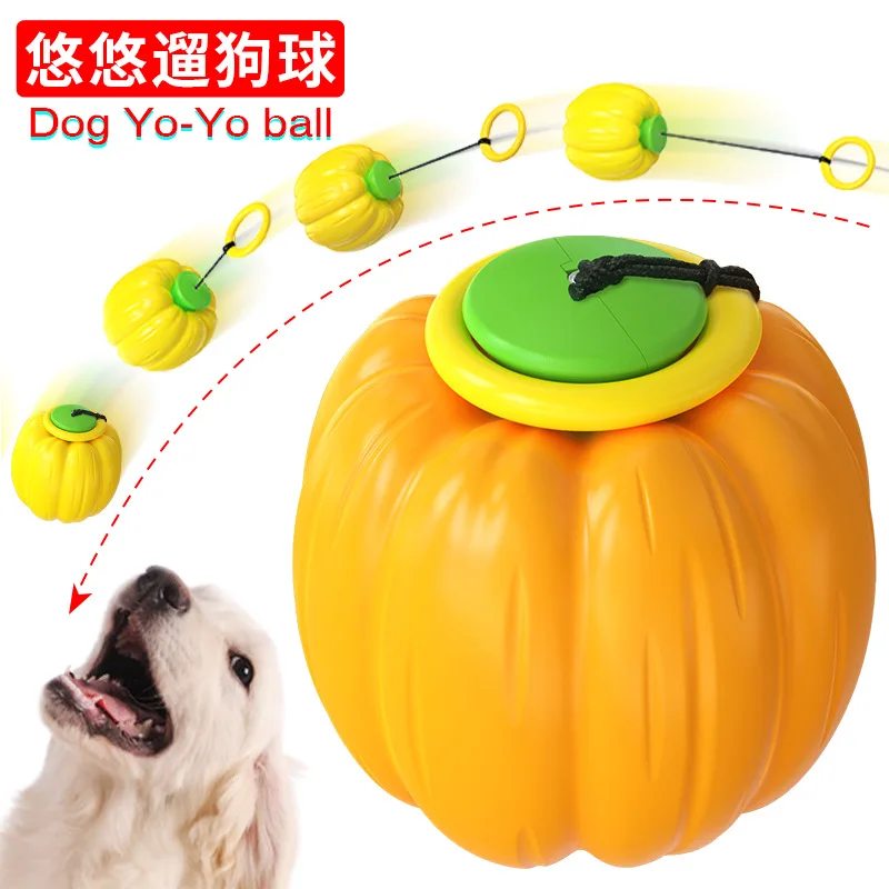 For Dogs Pet ,supplies Molar Teeth Resistant To Biting Dogs Training Golf And Pumpkin Bouncy Ball