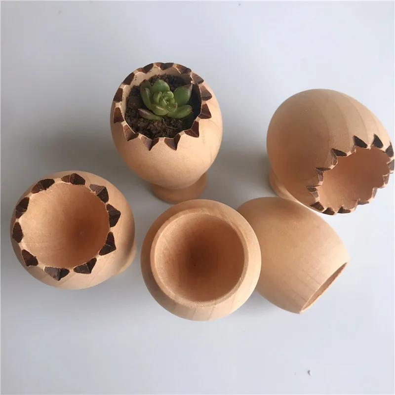 10 шт/5 шт Деревянный Мини-горшок для растений яичная скорлупа дизайн сделай сам