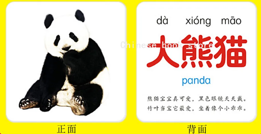 Китайские английские карточки hanzi pinyin фигура плода транспортные фотографии