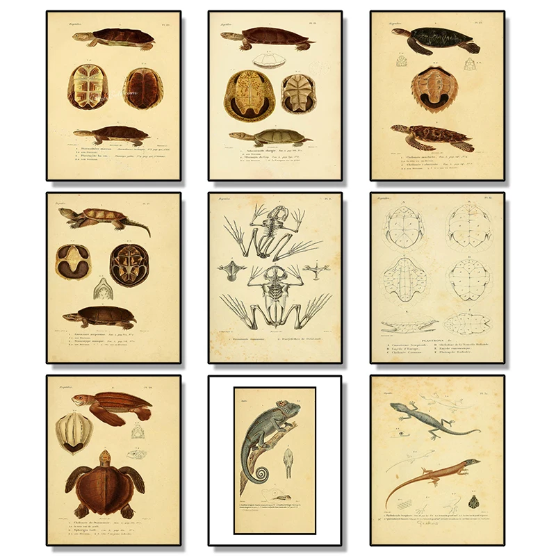 

Retro animal poster style turtle lizard and other reptile poster canvas home wall art decoration canvas painting