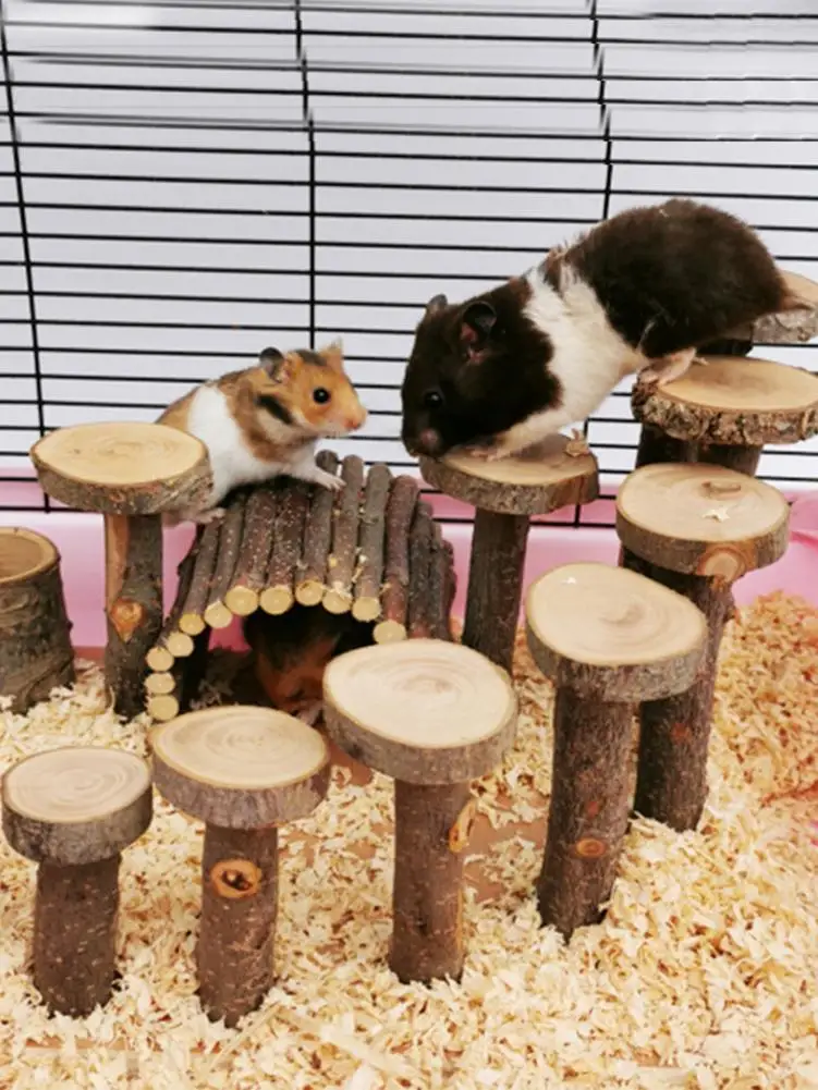 Яблоко дерево Хомяк Игрушка лестница маленькая для домашних животных Шаг Фитнес