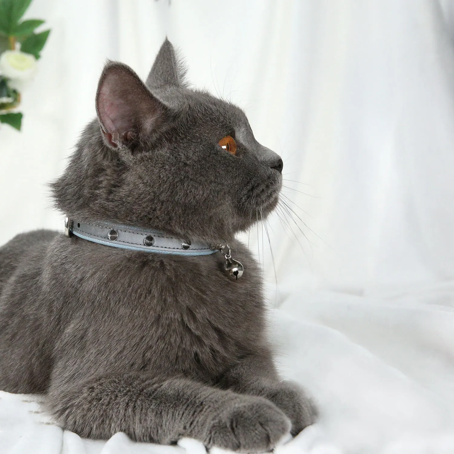 

Reflective Cat Collar Rivet Collar for Dogs Universal Anti-Bite with Bell PU Leather Adjustable Necklace Puppy Kitten Collars