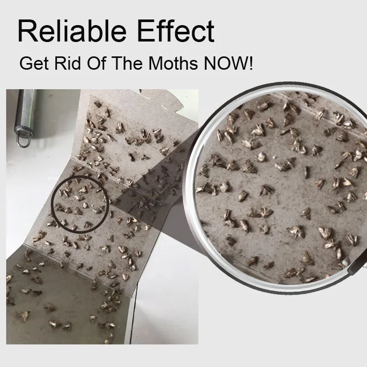

5/10pcs Moth Traps To Kill Moths,rice Insects, Moths,Indian Rice Borers Traps Clothes Pantry Food Moths Pheromone Killer