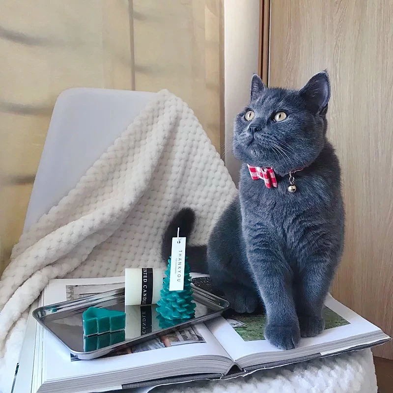 Милый ошейник для домашних животных с бантом собаки или кошки колокольчиками