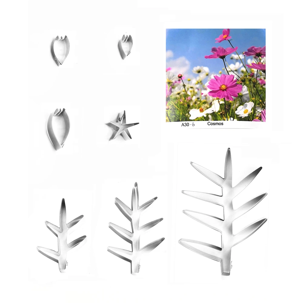 Космос мастика сахарница ножи для цветов выпечки Торт украшения Полимерная