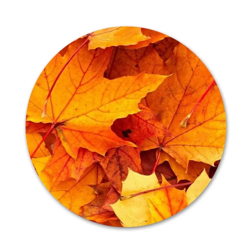58mm Autumn fall Maple Leaves Kitchen Home Decor Refrigerator Magnetic Stickers Opener Beer Coke | Дом и сад