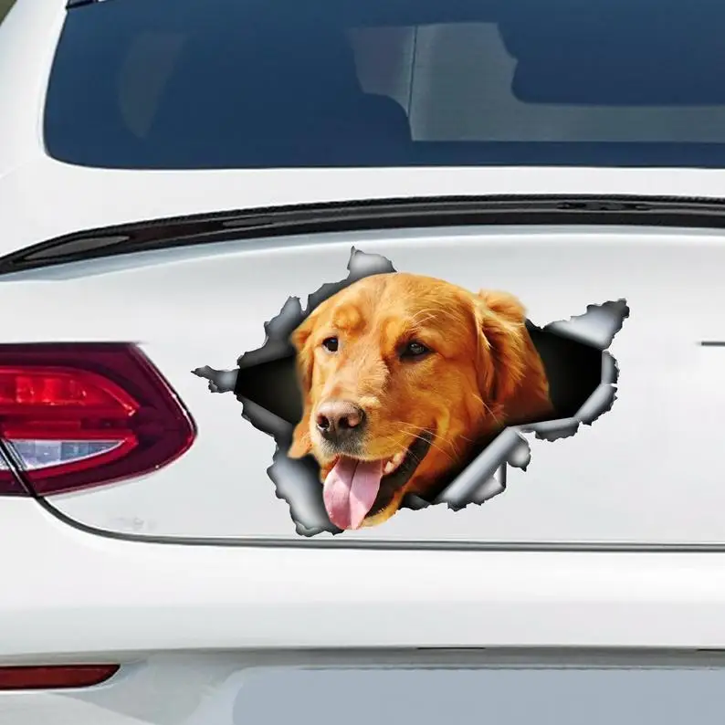 

Golden Retriever car sticker, Golden Retriever magnet, Golden Retriever decal, dog sticker, car decoration