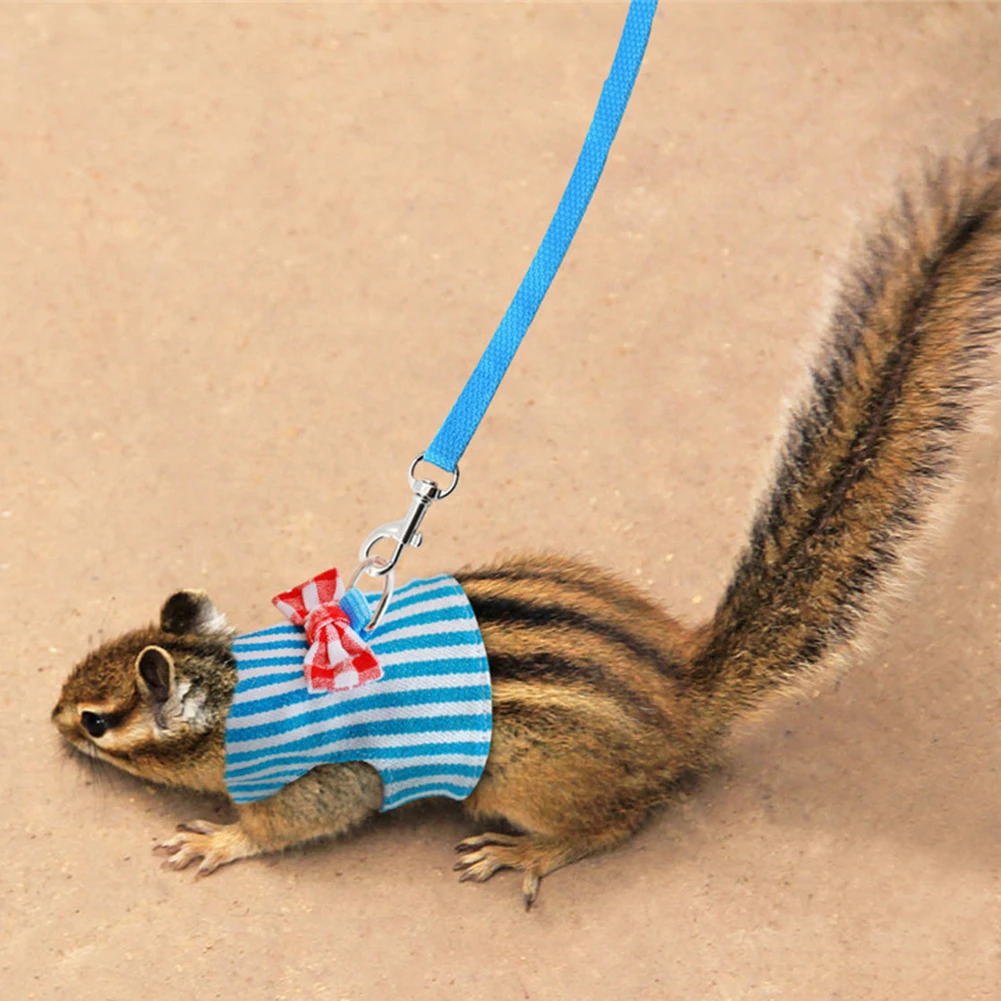 Маленький Кролик Хомяк галстук бабочка полосатый портупея в форме звезды жилет