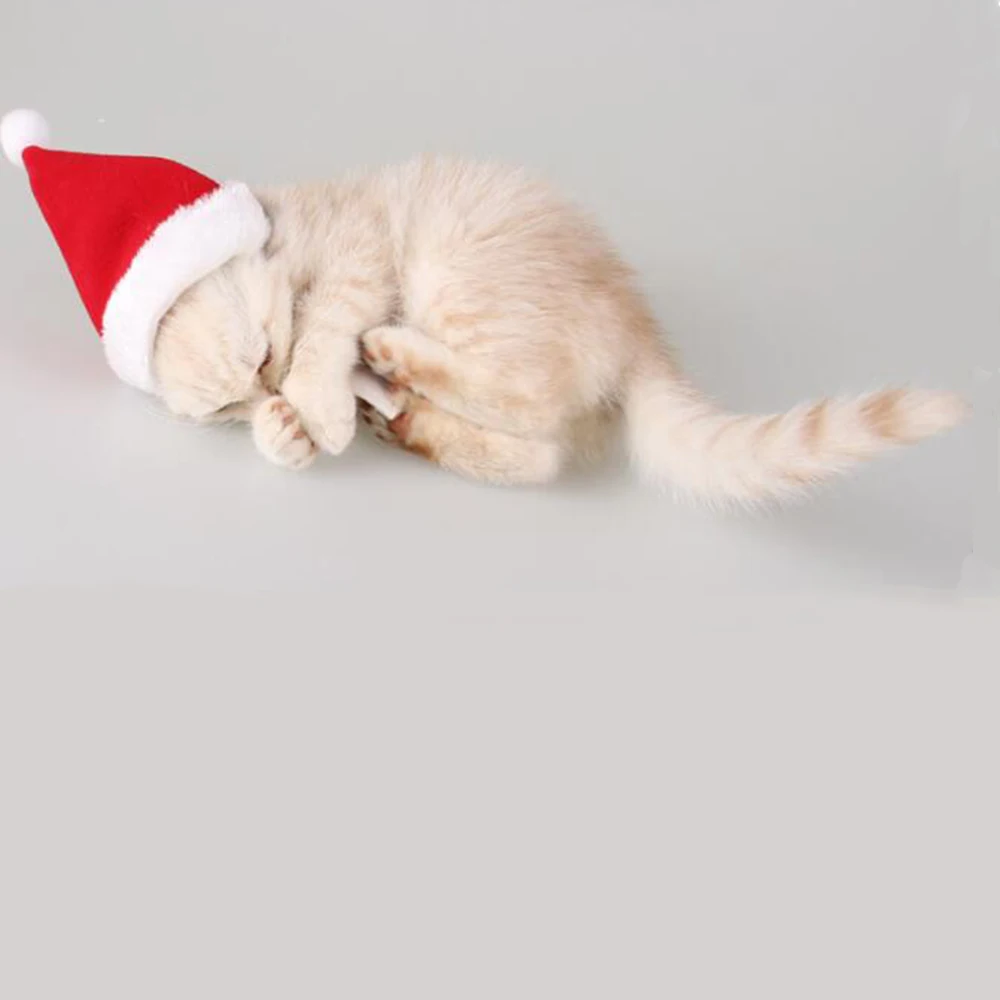 Рождественская домашняя собака кошка Санта шляпа шарф набор головной убор