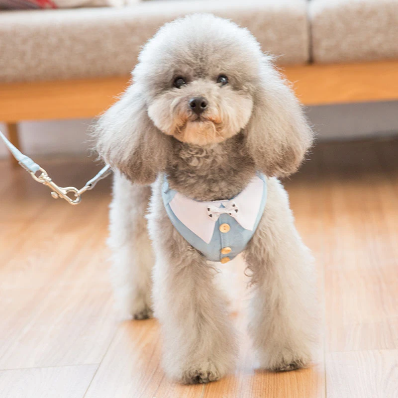 

Adjustable Dog Harness Vest Bow Tie Pet Traction Rope Training Walk Dog Leash Puppy Collar Breathable Cat Harness Pet Suppliers