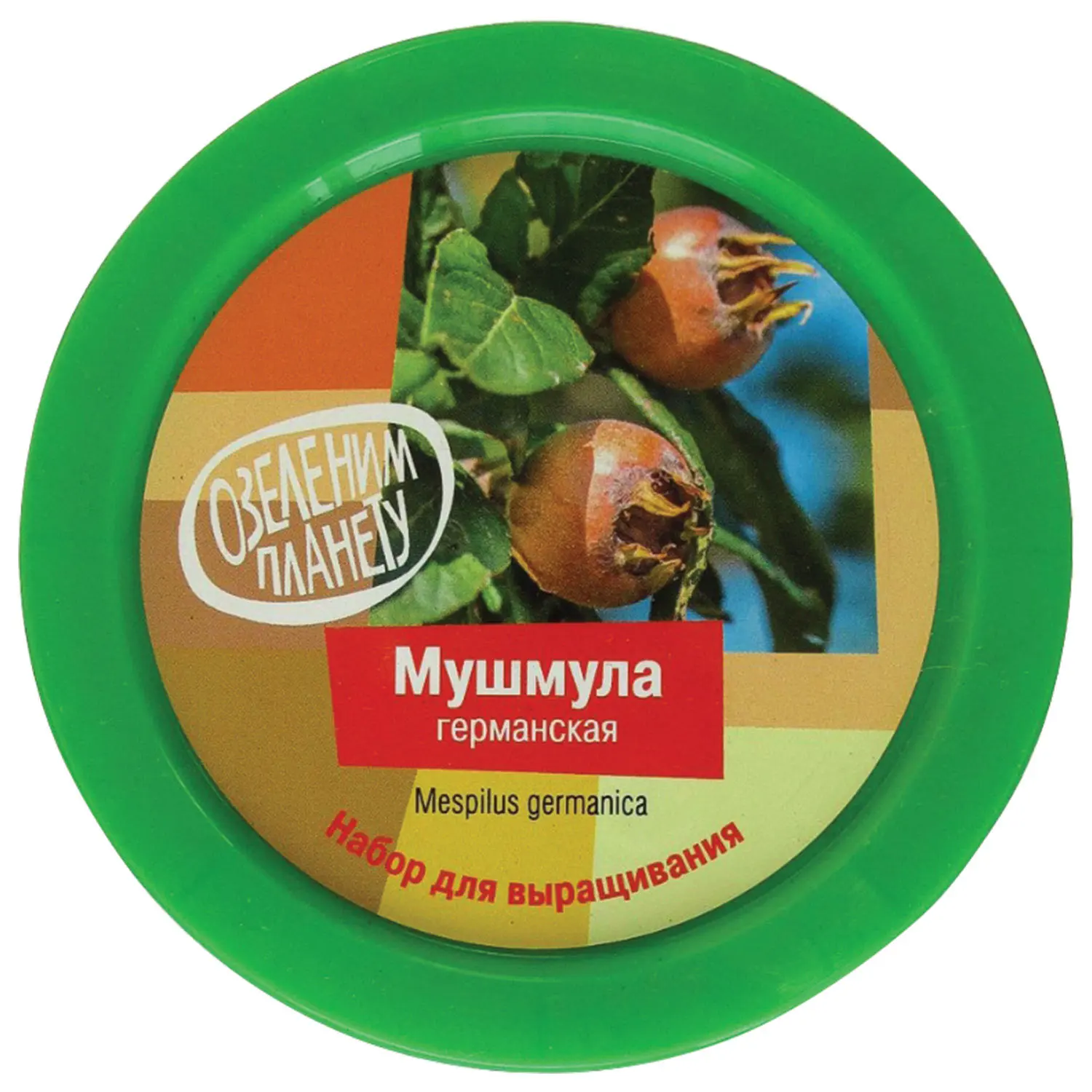 Набор для выращивания растений ВЫРАСТИ ДЕРЕВО! &quotМушмула германская&quot (банка