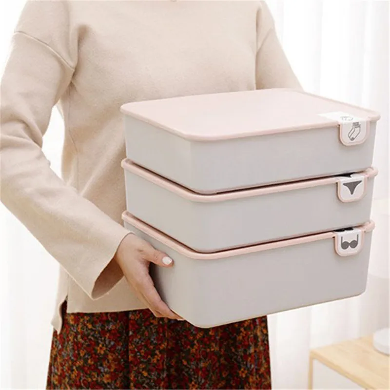 Бытовая пластиковая коробка для хранения нижнего белья с отделением отметки