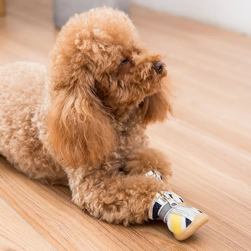 [PEITAARR] Товары для домашних животных Обувь Кроссовки Чехлы ног на мягкой подошве