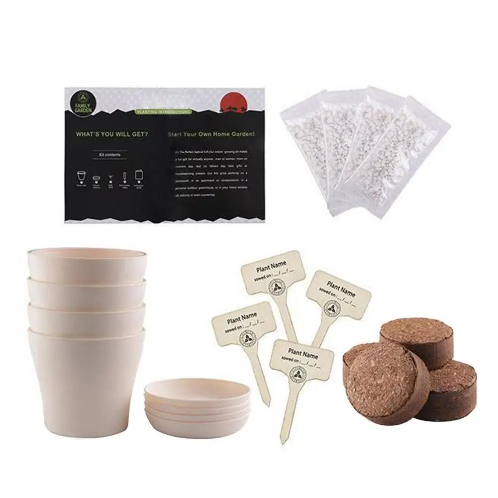 

Mini Bonsai Herbs Growing Kit Indoor Herb Plant Planting Kit Novice Gardening Growth Kit Indoor Plant Growing Starter Kit DI