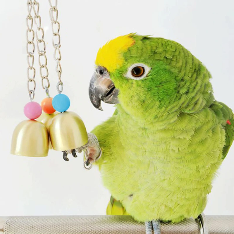 

High Quality Steel Bell Cage Toy Parrot Bird Squirrel Funny Chain Swing Toy Pet Bird Supplies Little Parrot Toy Bird Accessories
