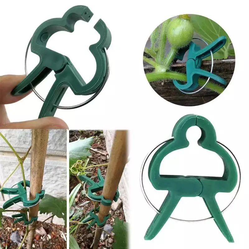 

20 pieces size size size plant support clip with zinc reusable clip for plant hanging vine garden greenhouse vegetables tomatoes