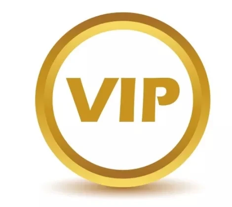 

VIP Women Bag