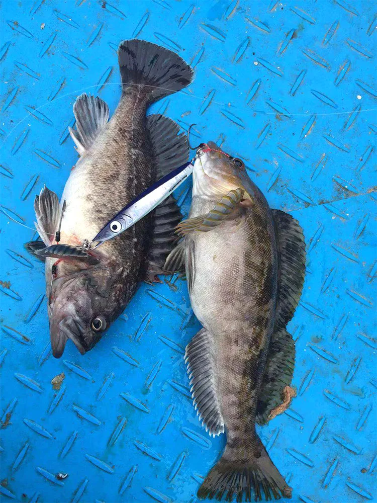 HYSBOY 100g/130g/160g/200g Best Slow Metal Jig Lures Fishing Bait Saltwater Lure Jigs Fish Fishing Luminous Jig Pike Hook Tackle