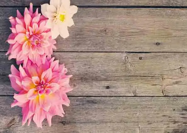 

Vinyl Custom Photography Prop Flower Wood Planks Board theme Photo Studio Background W191009-03266