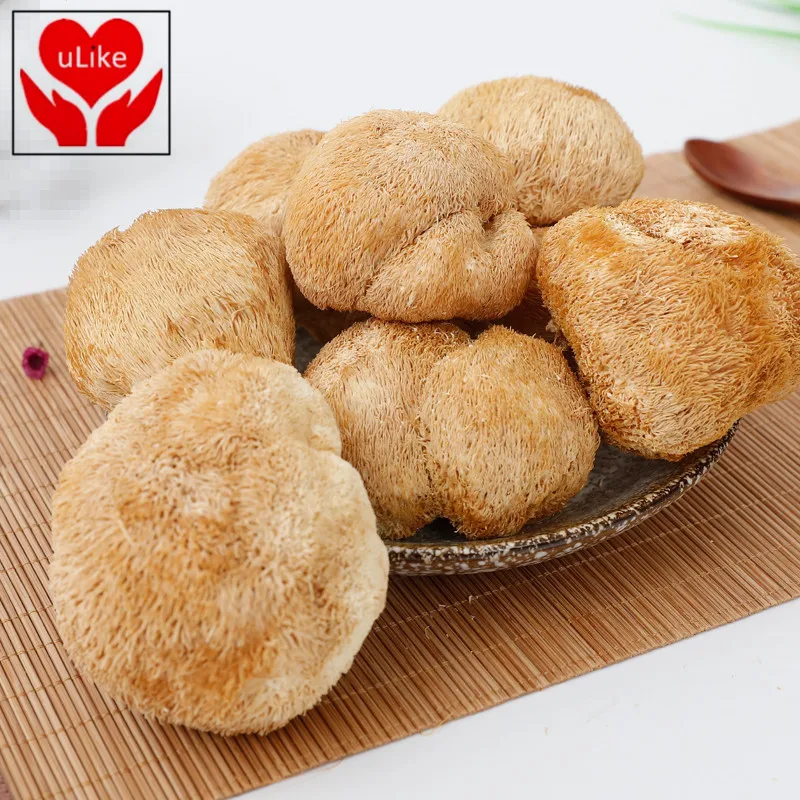 

Dried Lions Mane Mushroom Hericium Erinaceus Mushroom