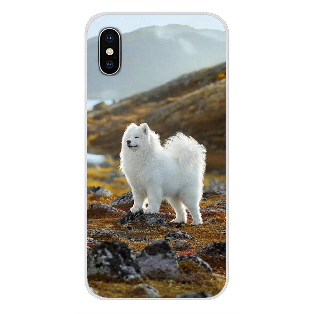 Белый самоед собака прекрасный прозрачный чехол из термополиуретана с Чехлы для