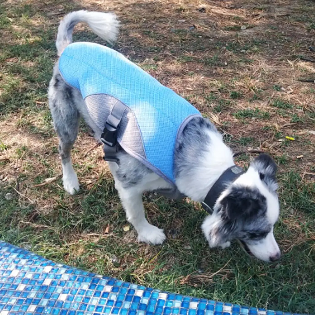 

Summer Dog Cooling Vest Pet Clothes Pet Cooling Harness For Dogs Adjustable Reflective Vest Puppy summer clothes