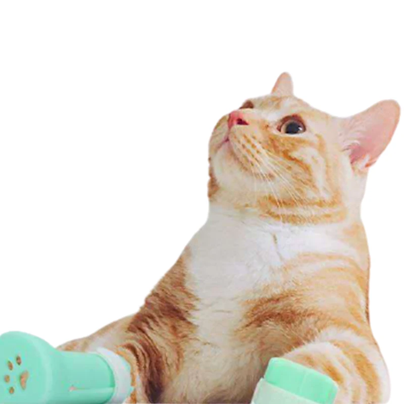 

Cat Foot Covers Silicone Foot Covers Nails Bathing Scratch-Resistant Protective Shoes 4 Packs Bottom Loophole Design Good Feel