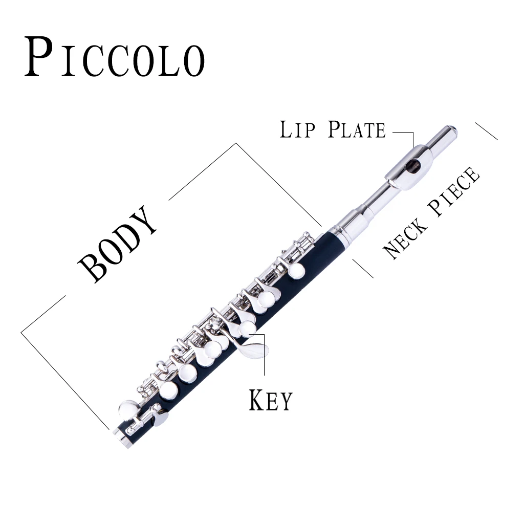 NAOMI Professional Nickel Plated Piccolo Excellent Ebonite Rubber Wood Key of C Set | Спорт и развлечения
