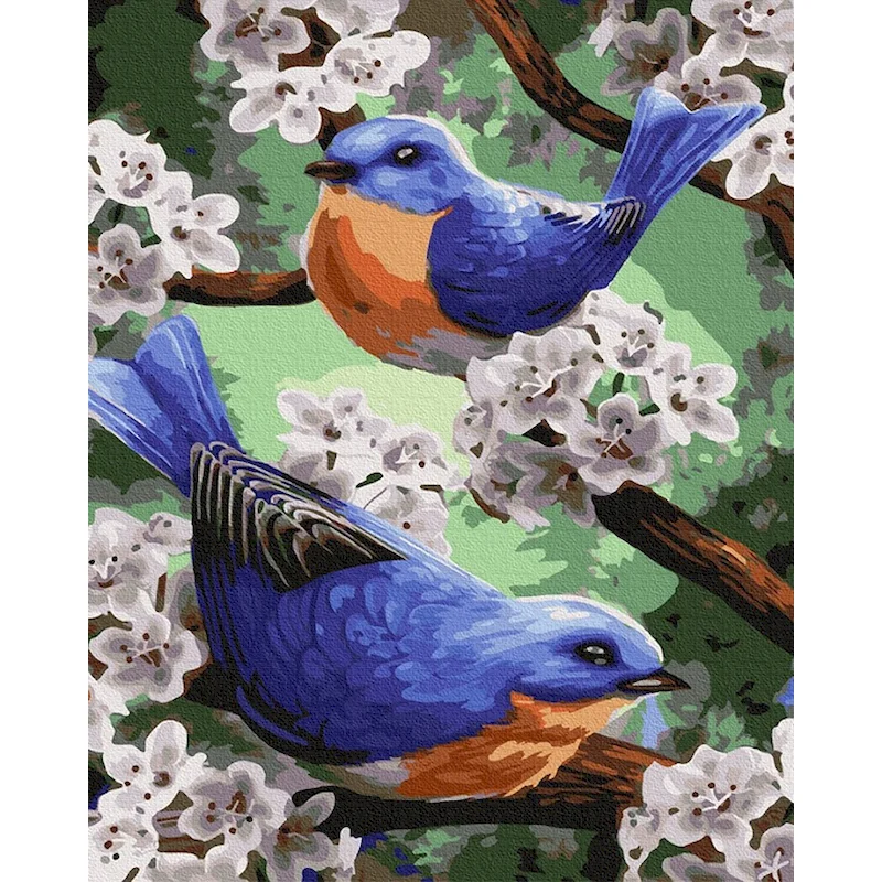 

Oil Paint By Numbers Kits Birds DIY Painting By Numbers On Canvas Frameless 60x75cm Home Decor Animals Draw Number Wall Art