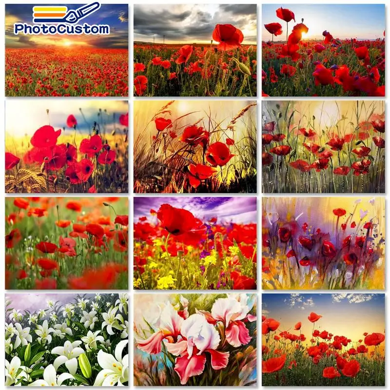 

PhotoCustom 40x50cm Paint By Numbers Flowers Scenery Oil Painting By Numbers On Canvas Frameless DIY Home Decor Unique Gift