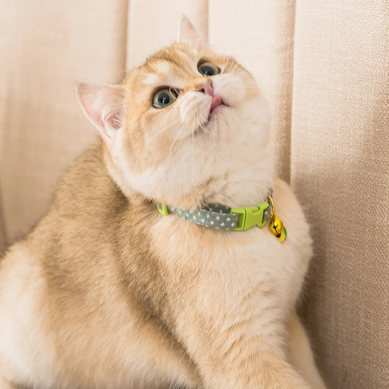 Регулируемый ошейник с подсолнухом и котом регулируемое ожерелье подвеской 17-33