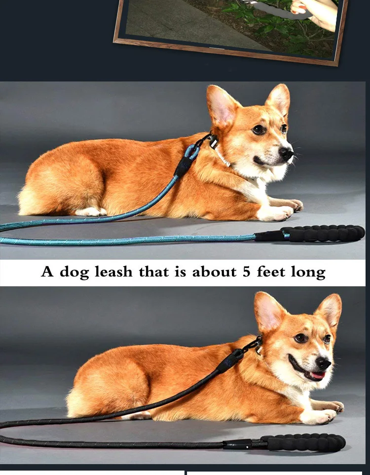

Pet supplies traction rope reflective nylon rope round against the lost dog leash on the rope dogs accessoires dog leash