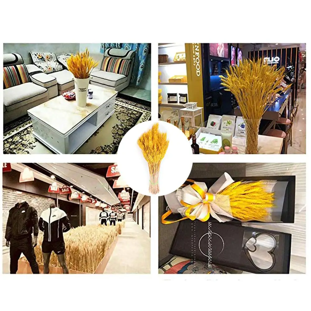 

100Pcs/lot Real Wheat Ear Flower Natural Dried Flowers for Wedding Party Decoration DIY Craft Scrapbook Home Decor Wheat Bouquet