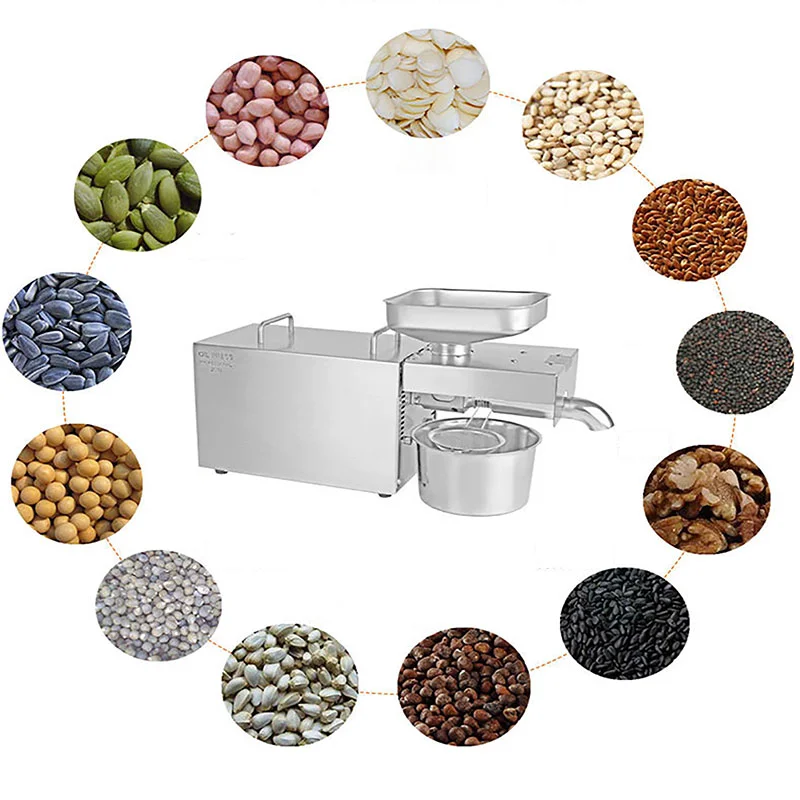 

Cold Oil Press Machine Stainless Steel Electric Oil Press