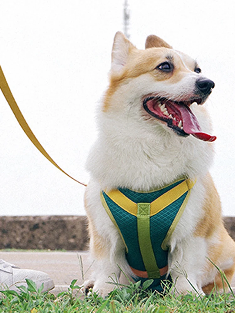 

Pet Supplies Adjustable Pet Breast Straps Breathable Dog Leashes Dog Chains Dog Breast Straps Collars Suitable For Small Dogs