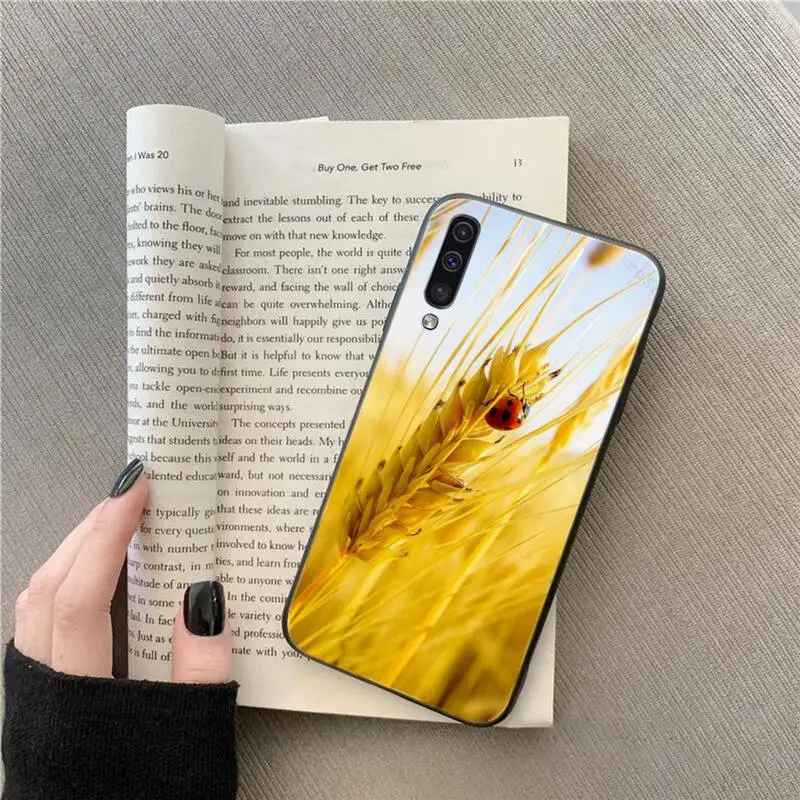 

Raw material for bread wheat Phone Case For Samsung galaxy A S note 10 7 8 9 20 30 31 40 50 51 70 71 21 s ultra plus