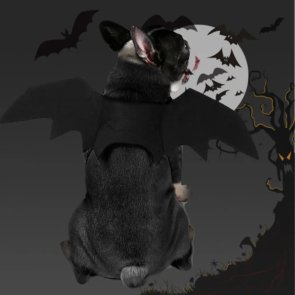 

Pet Costume Halloween Funny Pet Dog Bat Fashion Transformation Multifunctional Pet Holiday Decoration Costume